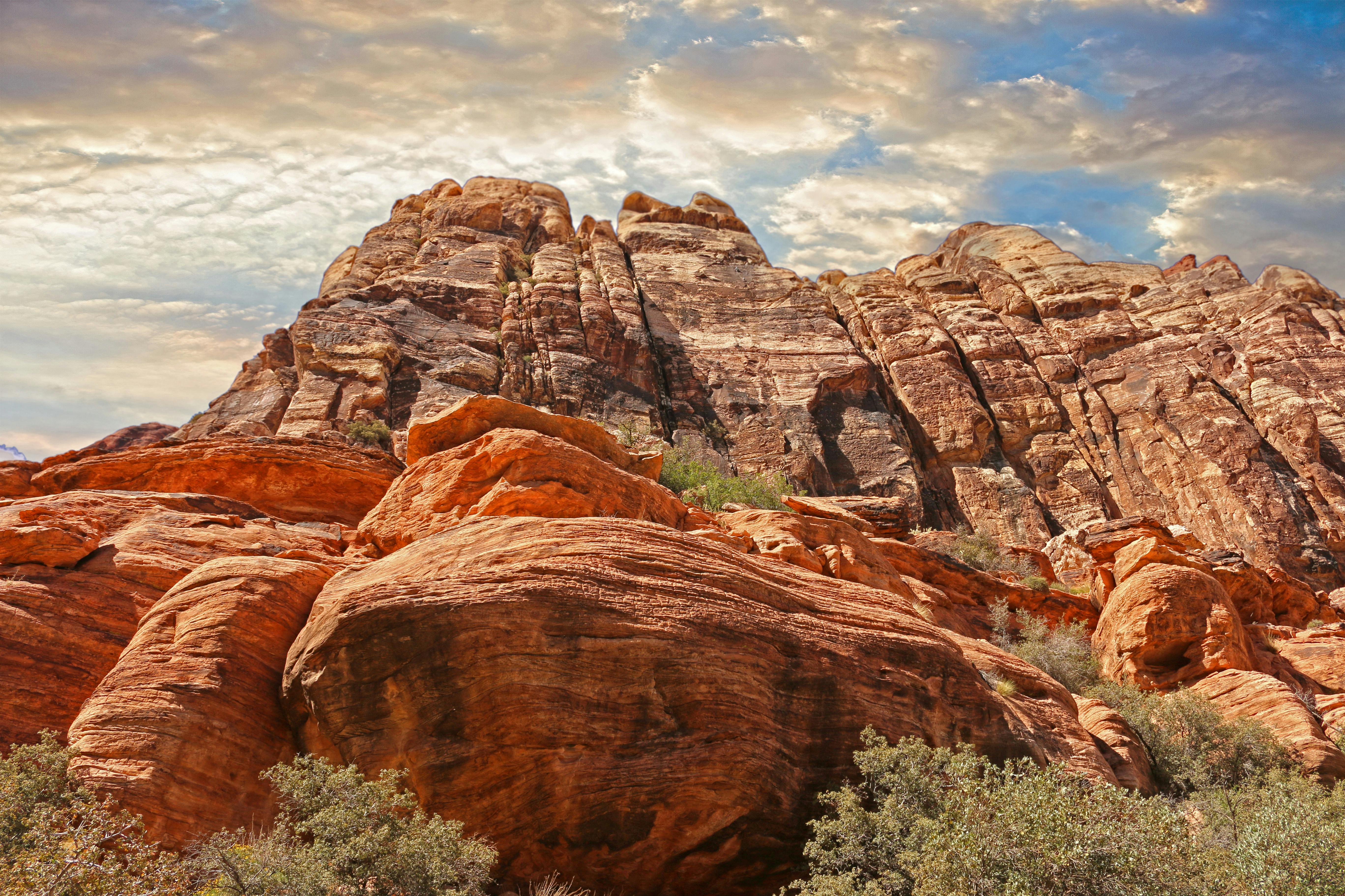 Australian Landscape